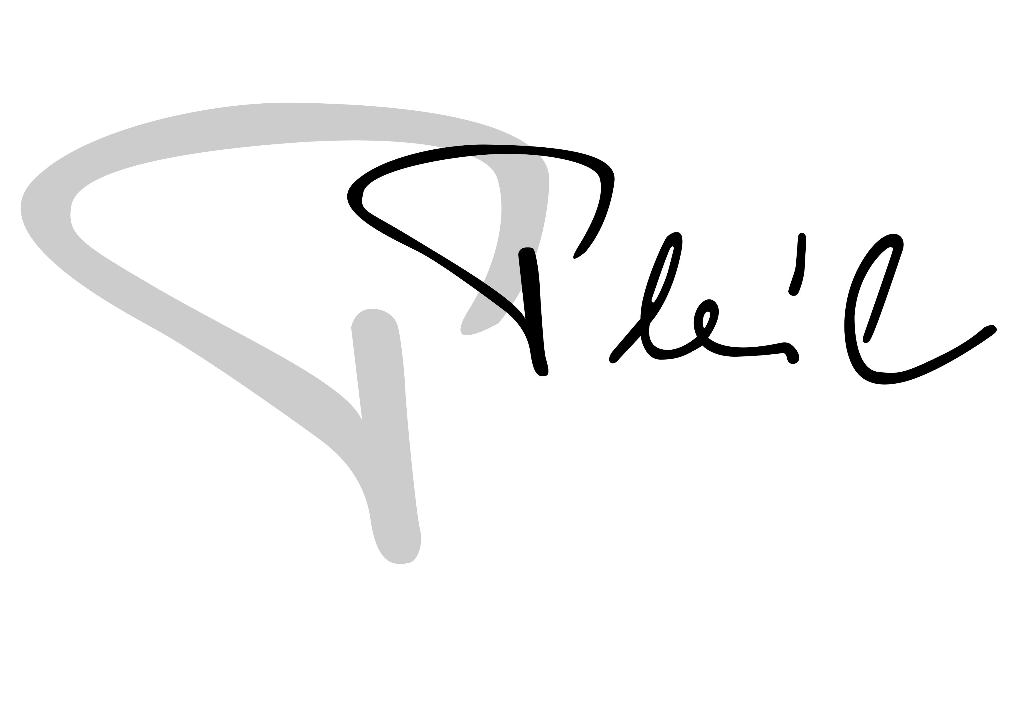 Weingut Pleil-Logo